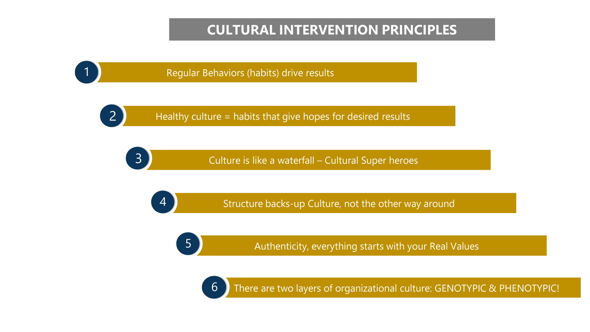 Cultural intervention principles